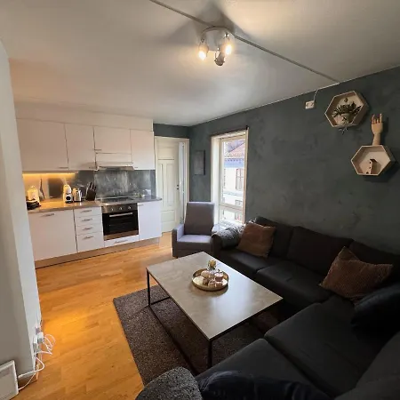 Super 3-bedroom * 奥斯陆