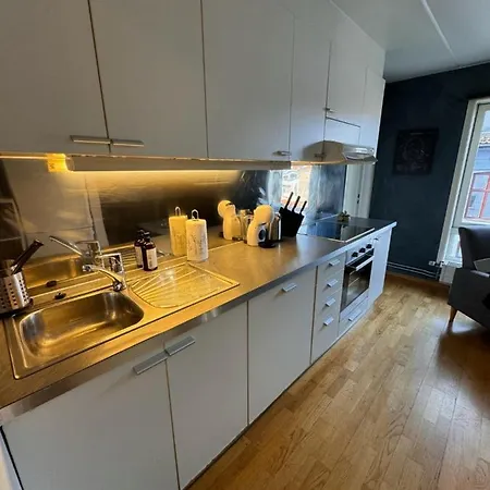 Super 3-bedroom 公寓 奥斯陆